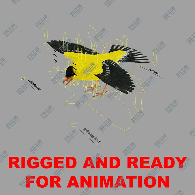 images/goods_img/20210115/Raphael Teenage Mutant Ninja Turtle 3D model/3.jpg